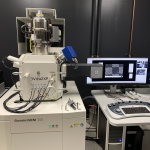 Scanning electron microscope