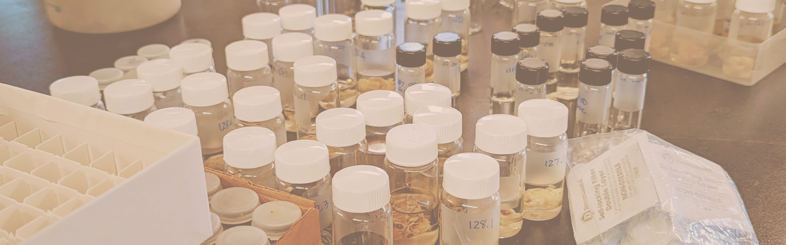 Bottles of chemicals on a tabletop