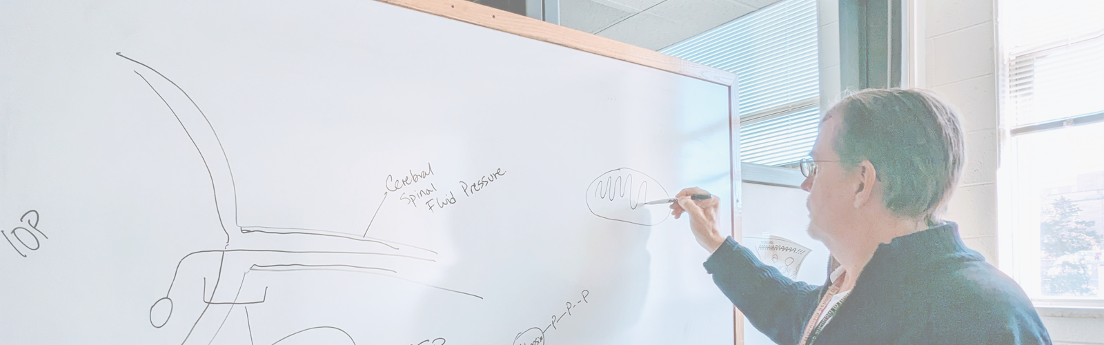 Dr. Rob Nickells draws on a dry erase board demonstrating the structures involved in whole eye transplantation