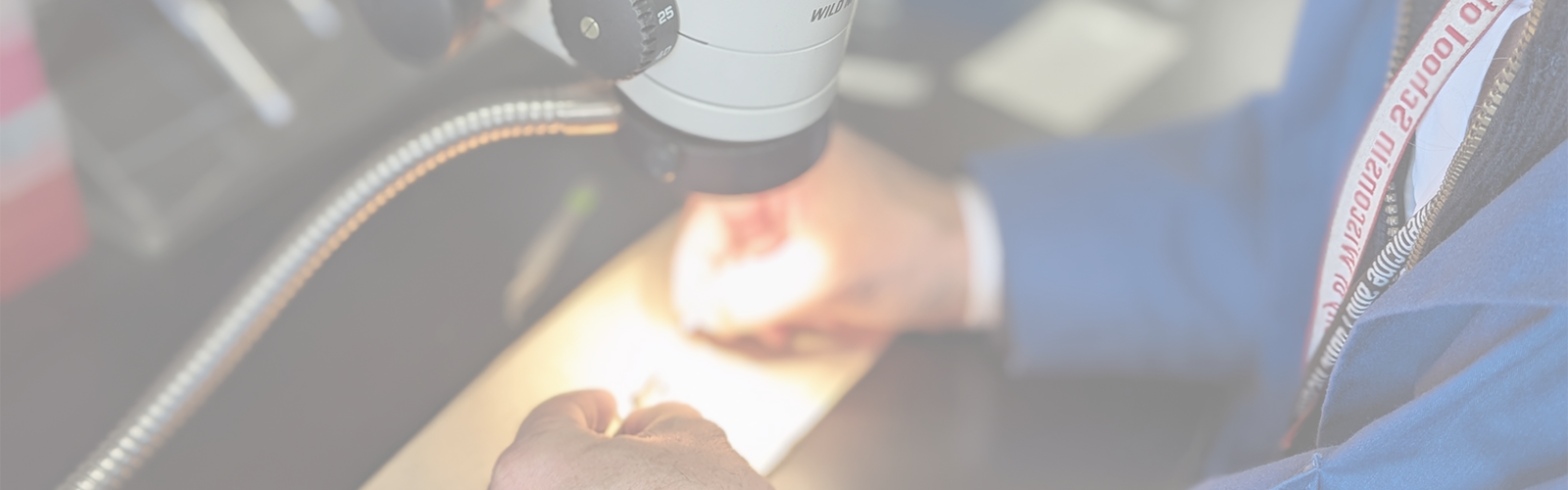 Hands examining samples beneath a bright light