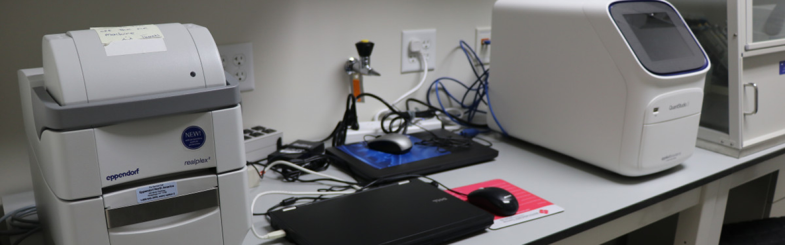 A close up photo of a lab bench