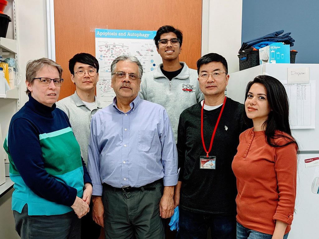 Sheibani Lab